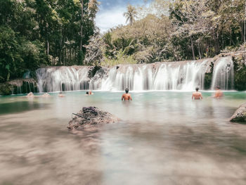 View of waterfall in forest