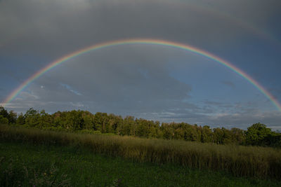rainbow