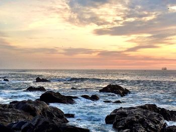 Scenic view of sea at sunset