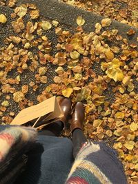 Low section of person on leaves during autumn