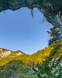 nature