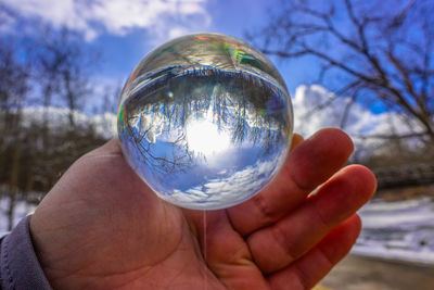 Close-up of hand holding crystal ball against trees