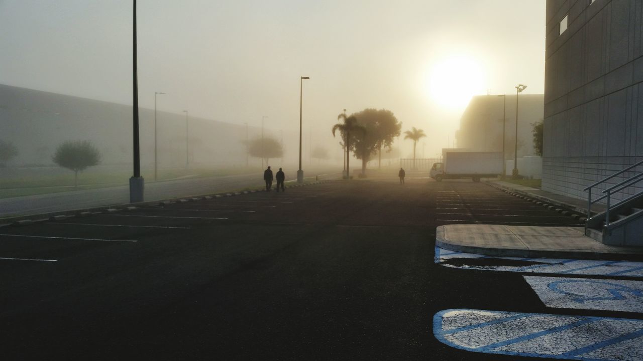 tree, fog, the way forward, road, outdoors, transportation, day, nature, sunset, no people, architecture, sky