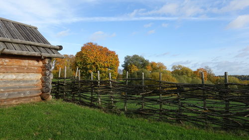 Trees growing on field against sky