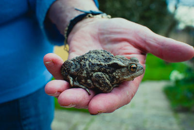 Midsection of woman holding frog