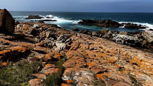 Orange sandstone rocks along coast near plettenberg bay, south aftica