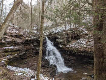 View of waterfall in forest