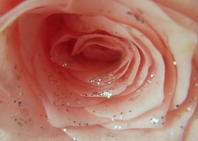 Full frame shot of water