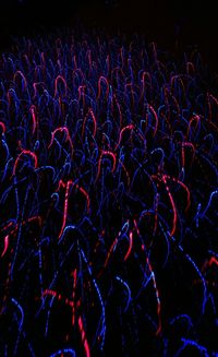 Light painting at night