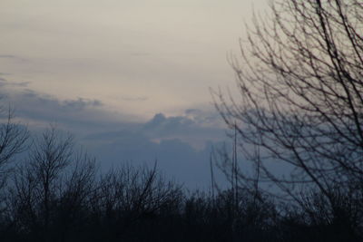 Low angle view of bare trees against sky