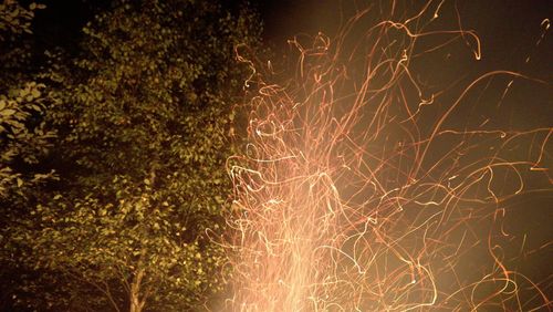 Close-up of illuminated tree at night