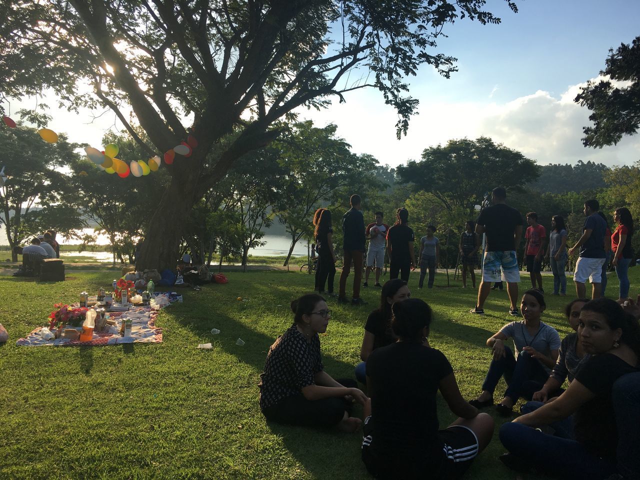 tree, grass, large group of people, real people, field, day, men, outdoors, women, sky, leisure activity, togetherness, park - man made space, nature, growth, lifestyles, sitting, picnic, food, people