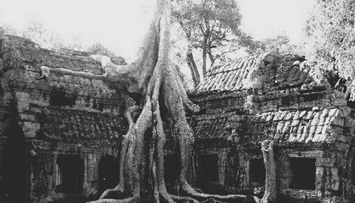 Low angle view of historical building