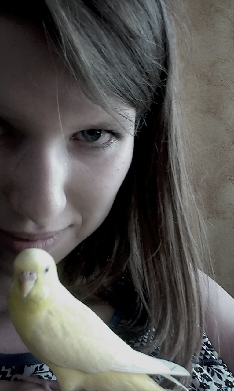 headshot, young women, close-up, young adult, long hair, portrait, looking at camera, person, lifestyles, head and shoulders, human face, indoors, leisure activity, front view, beauty, bird