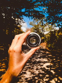 Close-up of hand holding lens against tree