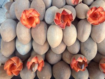 High angle view of mamey fruits for sale at market stall