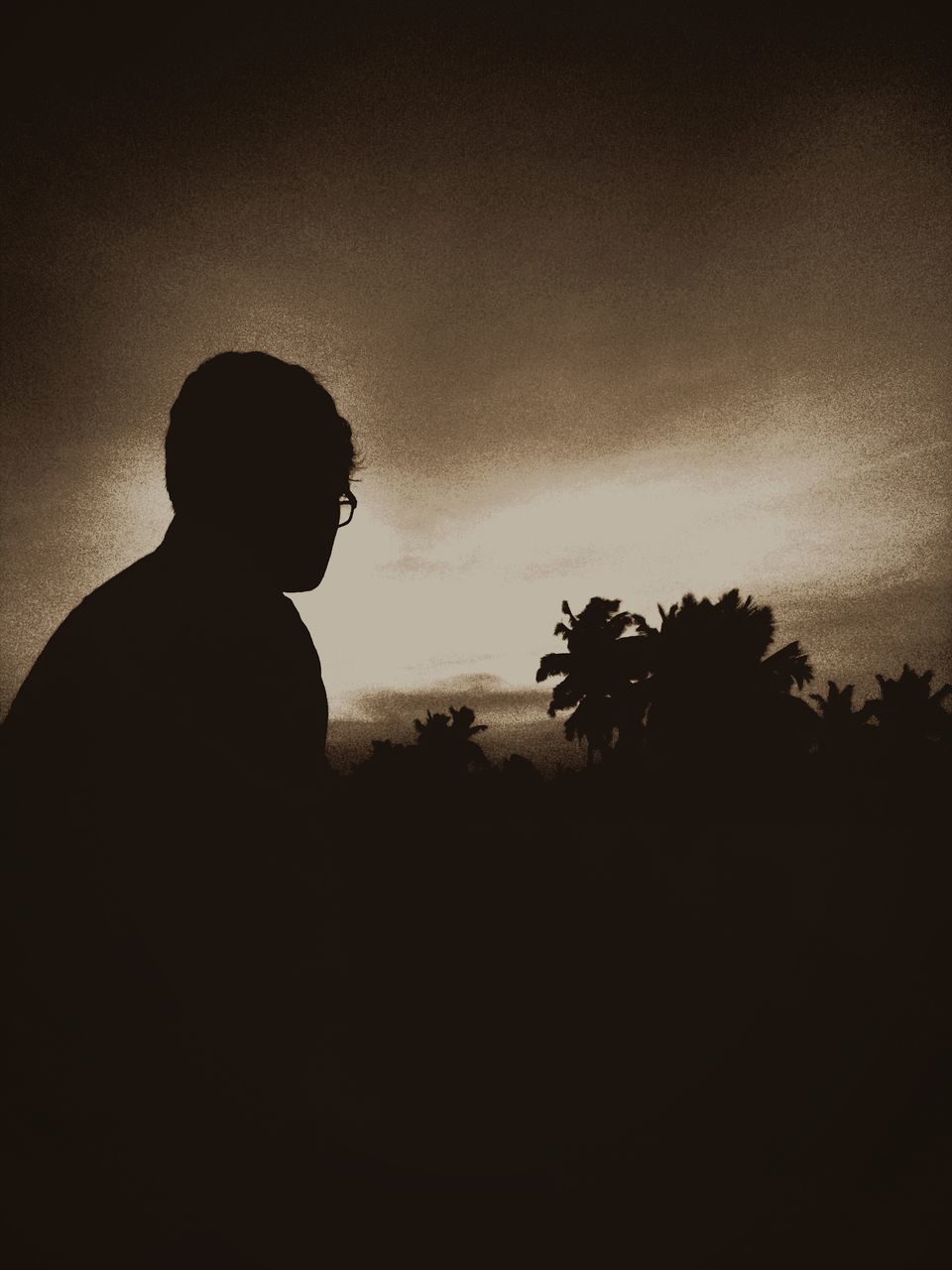 silhouette, sky, one person, men, real people, lifestyles, copy space, nature, leisure activity, plant, sunset, tree, tranquility, land, beauty in nature, scenics - nature, standing, tranquil scene, outdoors, contemplation