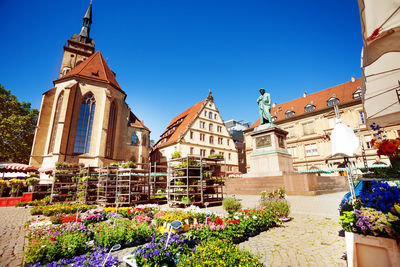 Low angle view of flowering plants by building against sky