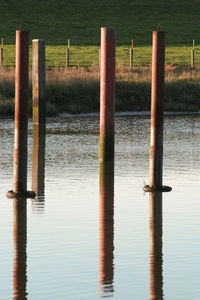 Wooden posts in lake