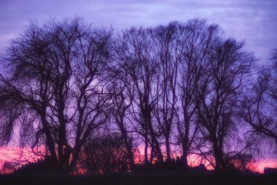 Bare trees against sky at sunset