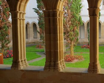 Trees and historic building seen through window