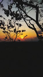 Silhouette trees on landscape against orange sky