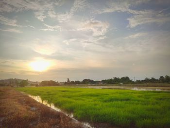 Scenic view of field against sky during sunset