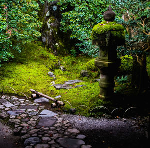 Stone wall in garden