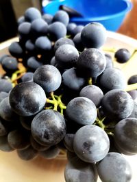 Close-up of grapes