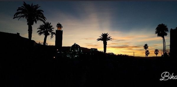 Silhouette palm trees against sky at sunset