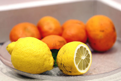 Close-up of citrus fruits in plate on table