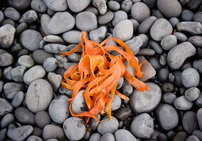 High angle view of pebbles at beach