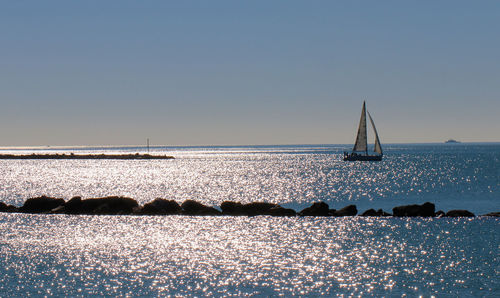 Sailboats in sea against clear sky