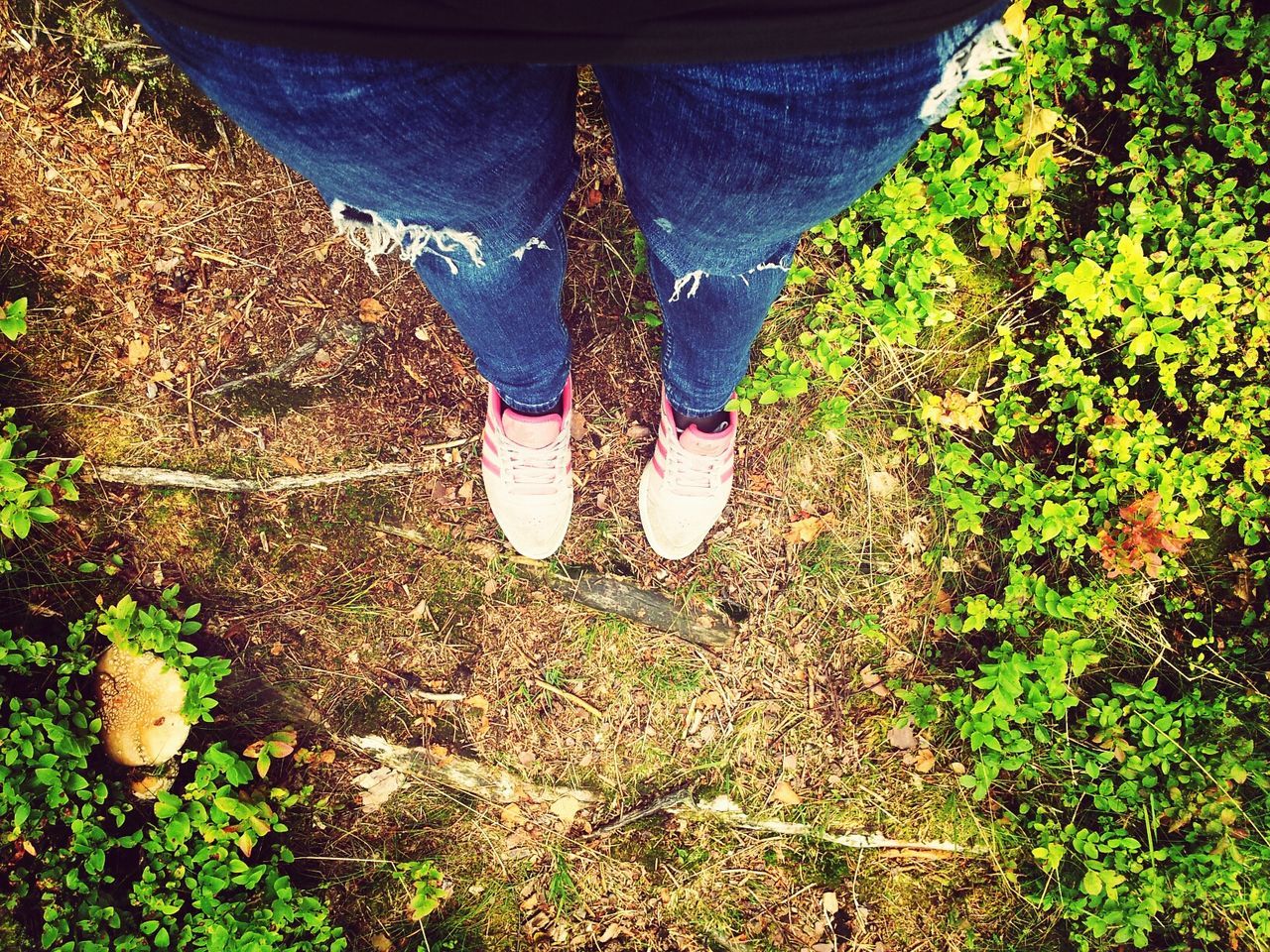 low section, person, shoe, high angle view, grass, footwear, human foot, standing, field, lifestyles, plant, leisure activity, day, outdoors, green color, personal perspective, unrecognizable person