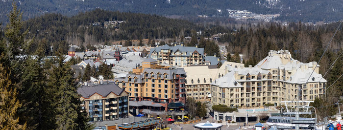 High angle view of trees and buildings in city