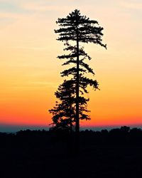 Silhouette tree against sky during sunset