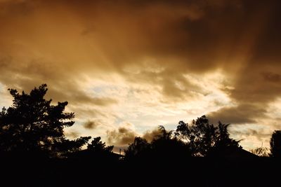 Low angle view of silhouette trees against sky during sunset