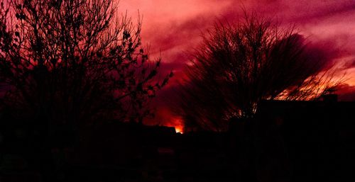 Silhouette trees against sky at night