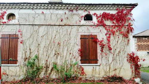 Facade of house