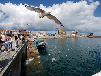 Seagulls flying over sea against sky