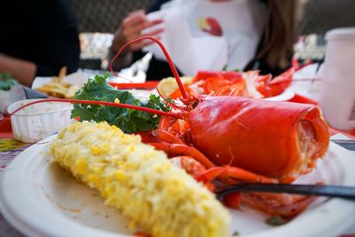 Close-up of food served in plate