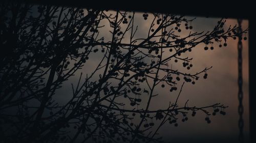 Low angle view of silhouette tree against sky at dusk