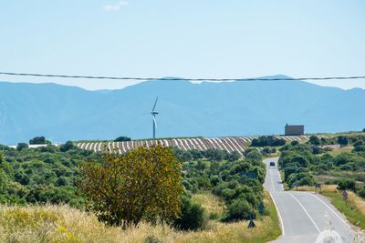 Road by plants against sky