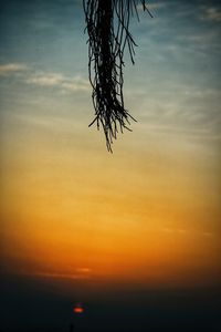 Low angle view of silhouette tree against romantic sky