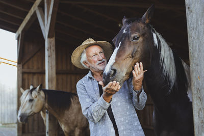 Senior farmer wearing hat stroking horse