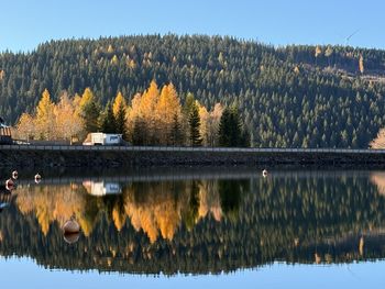 Scenic view of lake in forest during autumn