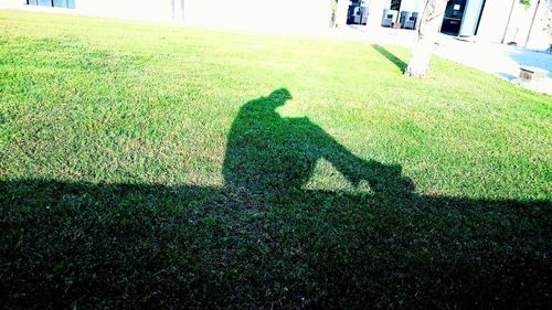 Shadow of people on grassy field