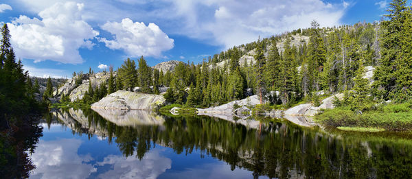 Panoramic view of lake and trees against sky