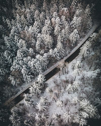 High angle view of snow on field during winter