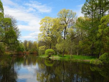 Scenic view of lake by trees against sky